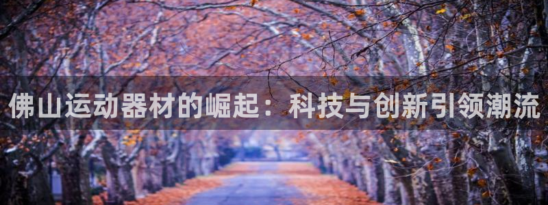 凯捷体育娱乐首页官网下载：佛山运动器材的崛起：科技与创新引领