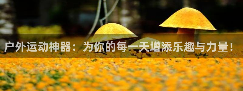 凯捷体育集团logo：户外运动神器：为你的每一天增添