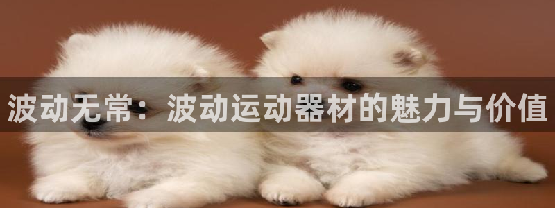 凯捷体育平台注册：波动无常：波动运动器材的魅力与价值