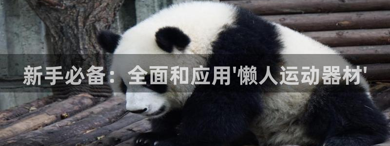 凯捷体育代理