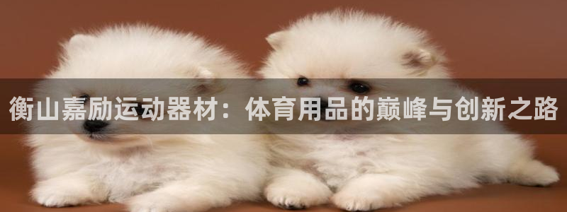 凯捷体育集团官网网址：衡山嘉励运动器材：体育用品的巅