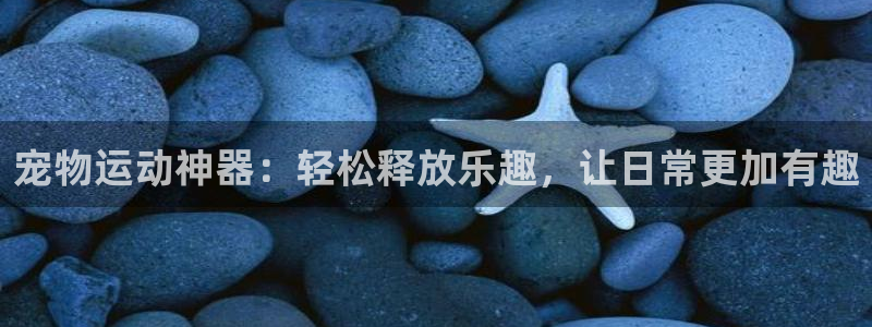 凯捷体育集团E.ON：宠物运动神器：轻松释放乐趣，让