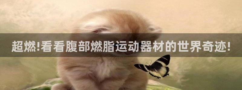 凯捷体育招商电话是多少：超燃!看看腹部燃脂运动器材的