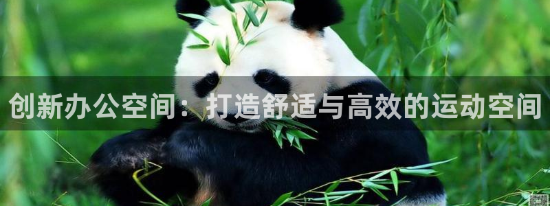凯捷体育平台是正规平台吗：创新办公空间：打造舒适与高
