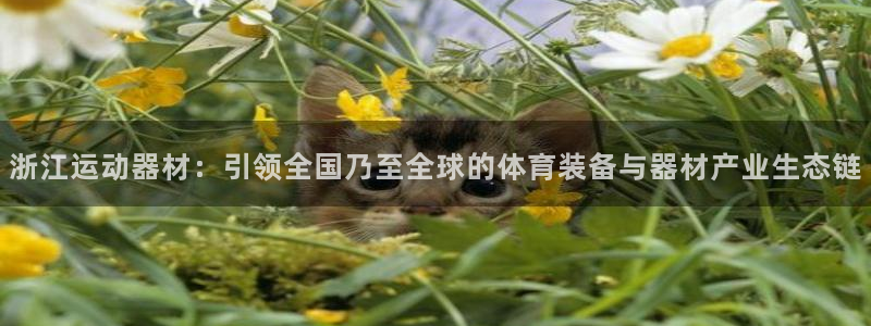海南凯捷体育发展怎么样：浙江运动器材：引领全国乃至全