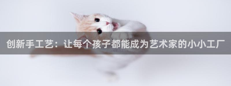 凯捷体育娱乐下载：创新手工艺：让每个孩子都能成为艺术