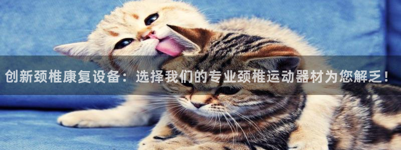 凯捷体育集团简介：创新颈椎康复设备：选择我们的专业颈