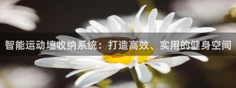凯捷体育：智能运动墙收纳系统：打造高效、实用的健身空