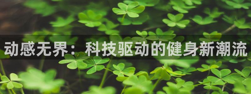 凯捷体育五金厂：动感无界：科技驱动的健身新潮流