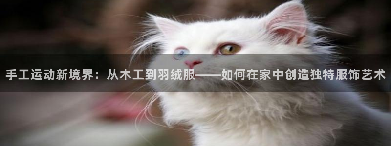 凯捷体育：手工运动新境界：从木工到羽绒服——如何在家