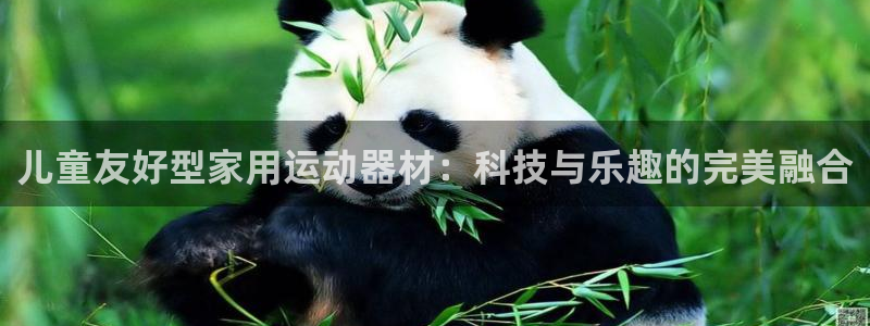 凯捷体育平台是正规平台吗：儿童友好型家用运动器材：科