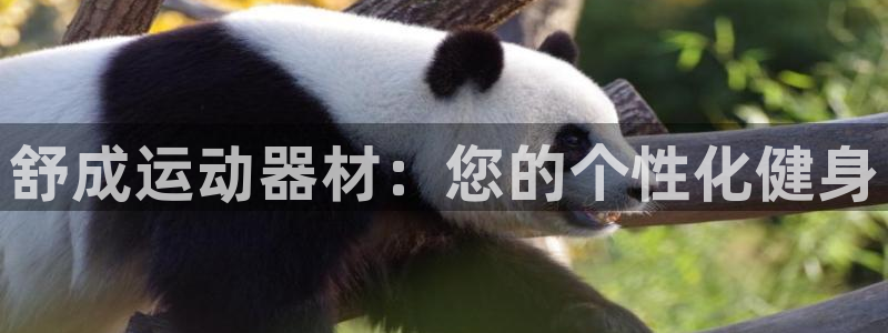 凯捷体育官方客服电话：舒成运动器材：您的个性化健身