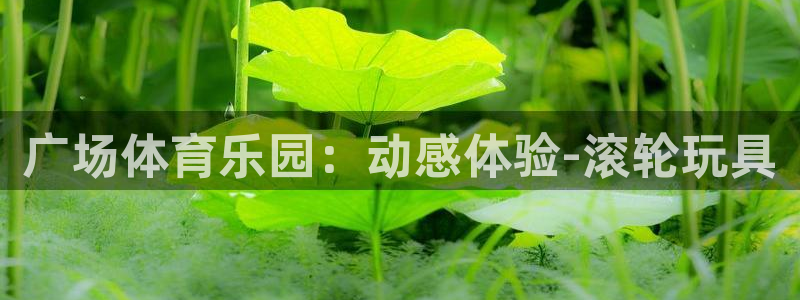 凯捷体育平台是正规平台吗安全吗