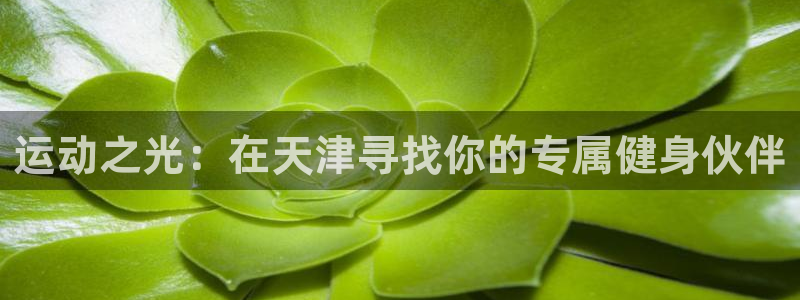 凯捷体育招商电话地址查询