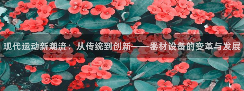 凯捷体育集团logo