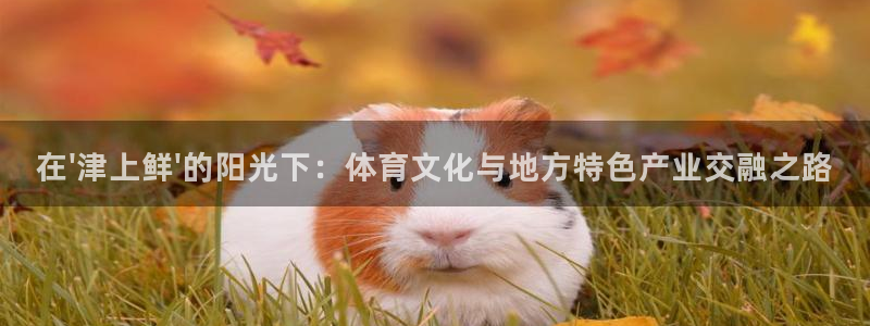 凯捷体育平台是正规平台吗安全吗：在\'津上鲜\'的阳光下：体
