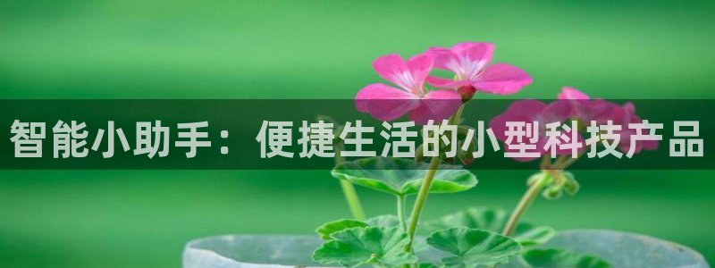 凯捷体育招商电话地址查询：智能小助手：便捷生活的小型