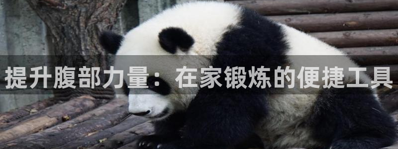 凯捷体育娱乐下载：提升腹部力量：在家锻炼的便捷工具