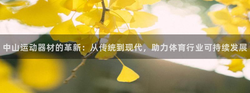 凯捷体育娱乐是那个系列的台子：中山运动器材的革新：从传统到现