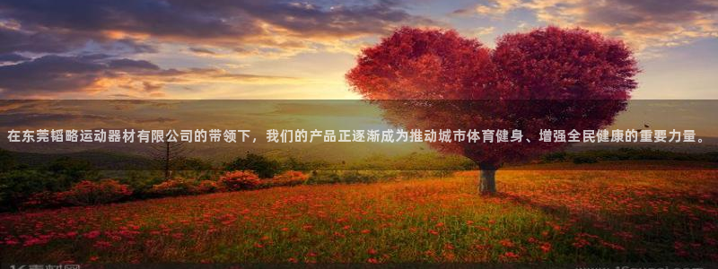 凯捷体育娱乐：在东莞韬略运动器材有限公司的带领下，我