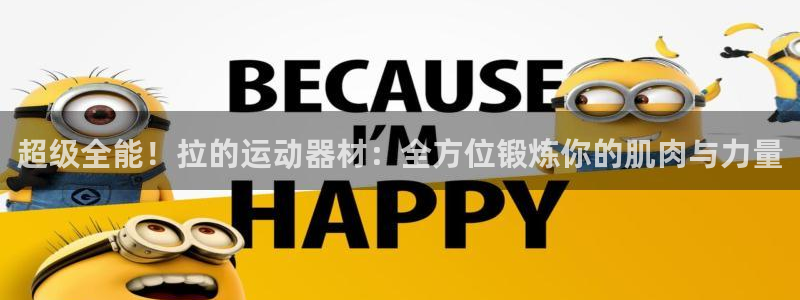 凯捷体育集团E.ON：超级全能！拉的运动器材：全方位