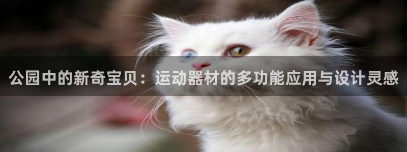 凯捷体育娱乐下载：公园中的新奇宝贝：运动器材的多功能