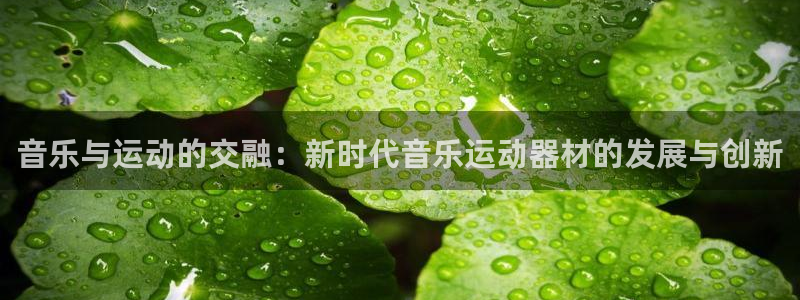 凯捷体育招商电话号码是多少号：音乐与运动的交融：新时