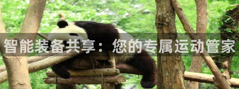 凯捷体育招商电话：智能装备共享：您的专属运动管家