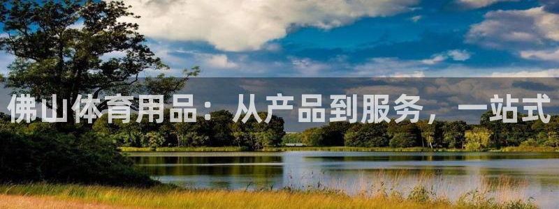 德国凯捷体育集团：佛山体育用品：从产品到服务，一站式