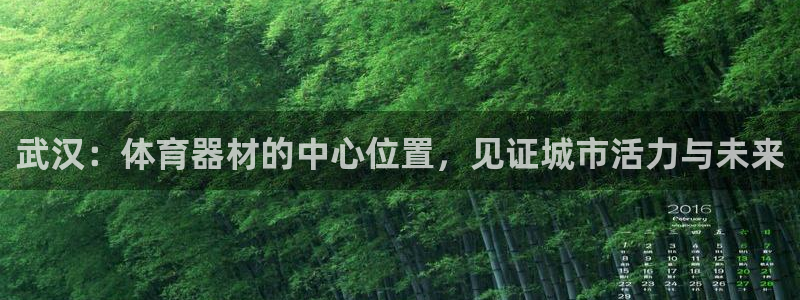 凯捷体育平台注册：武汉：体育器材的中心位置，见证城市