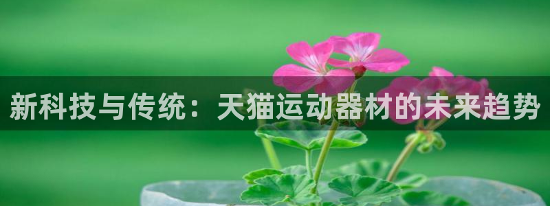 凯捷体育招商电话号码是多少：新科技与传统：天猫运动器材的未来