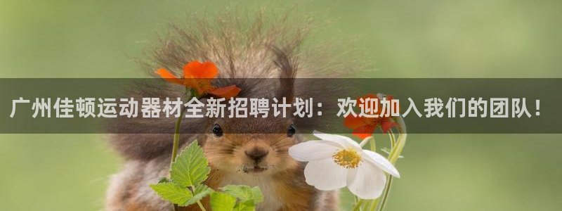 凯捷体育招商电话号码查询是多少