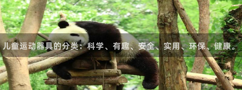 凯捷体育集团logo