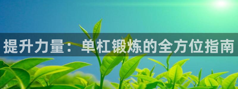 凯捷体育娱乐网站：提升力量：单杠锻炼的全方位指南
