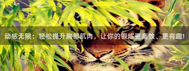 凯捷体育娱乐首页官网下载：动感无限：轻松提升胸部肌肉