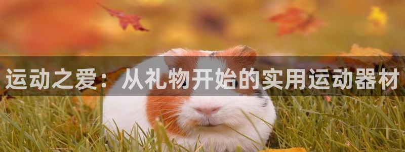 凯捷体育平台注册要钱吗是真的吗：运动之爱：从礼物开始