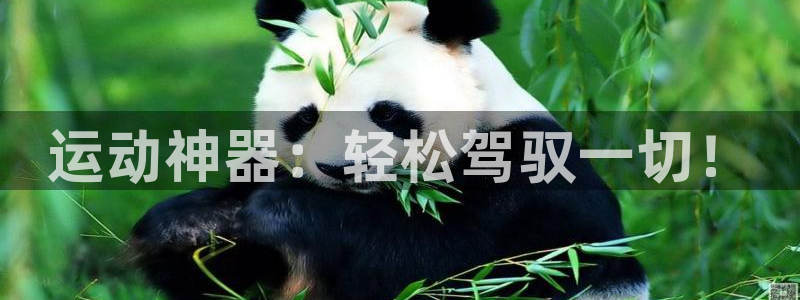 凯捷体育平台是正规平台吗知乎:运动神器:轻松驾驭一切!