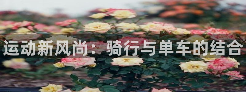 意昂平台体育：运动新风尚：骑行与单车的结合