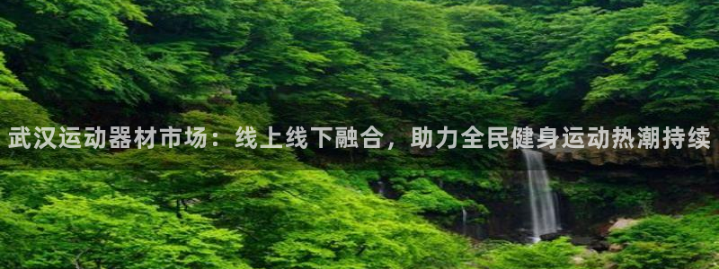 凯捷体育招商电话是多少号码：武汉运动器材市场：线上线