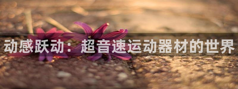 凯捷体育集团简介