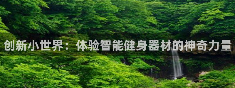 凯捷体育平台是正规平台吗安全吗：创新小世界：体验智能健身器材