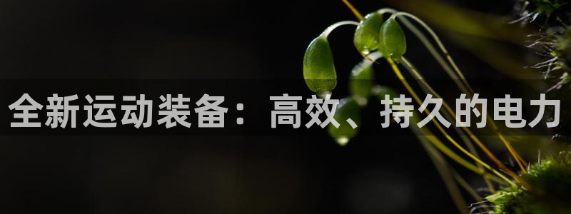 凯捷体育集团官网首页网址：全新运动装备：高效、持久的