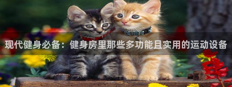 凯捷体育娱乐首页官网下载：现代健身必备：健身房里那些