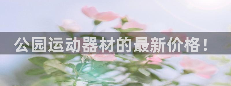 凯捷体育平台是正规平台吗安全吗：公园运动器材的最新价