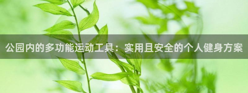 凯捷体育娱乐首页网站大全：公园内的多功能运动工具：实用且安全