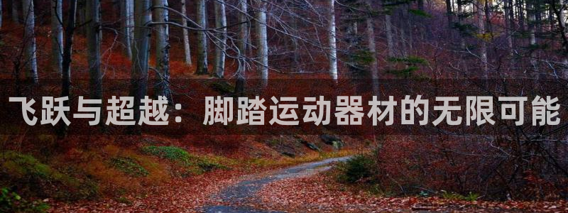 凯捷体育集团：飞跃与超越：脚踏运动器材的无限可能