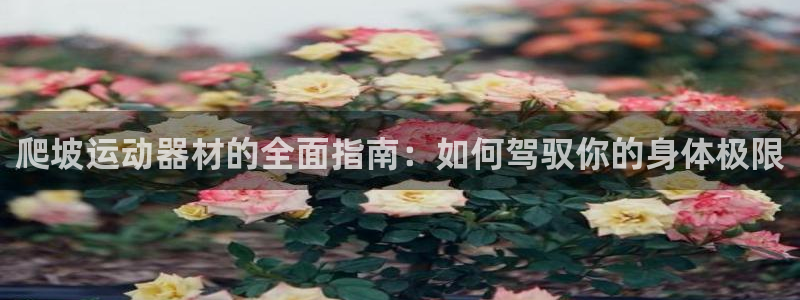 凯捷体育娱乐：爬坡运动器材的全面指南：如何驾驭你的身