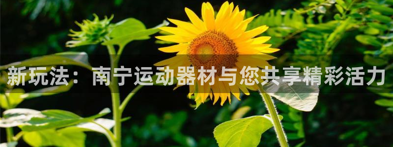 凯捷体育招商电话地址