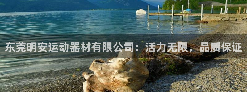 凯捷体育新能源：东莞明安运动器材有限公司：活力无限，品质保证