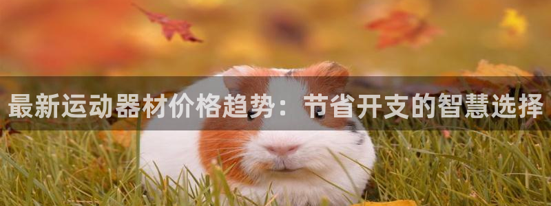 凯捷体育开户：最新运动器材价格趋势：节省开支的智慧选择